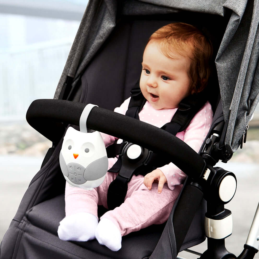 T&G Accessory Toys4All.in