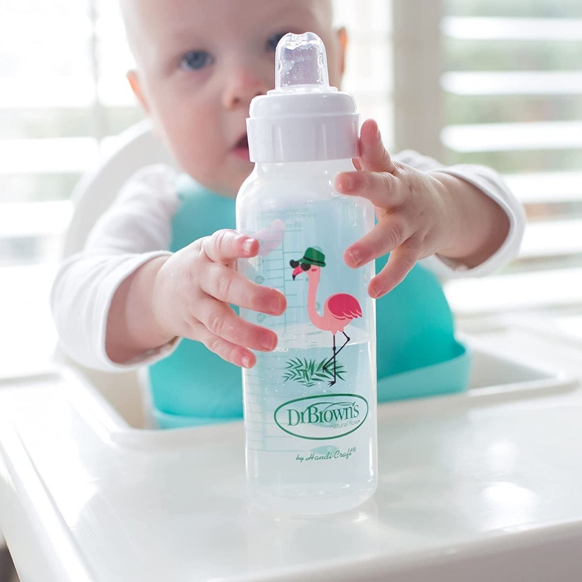 Dr.Brown's Narrow Sippy Spout Bottle (6 to 24 Months) - Open Box