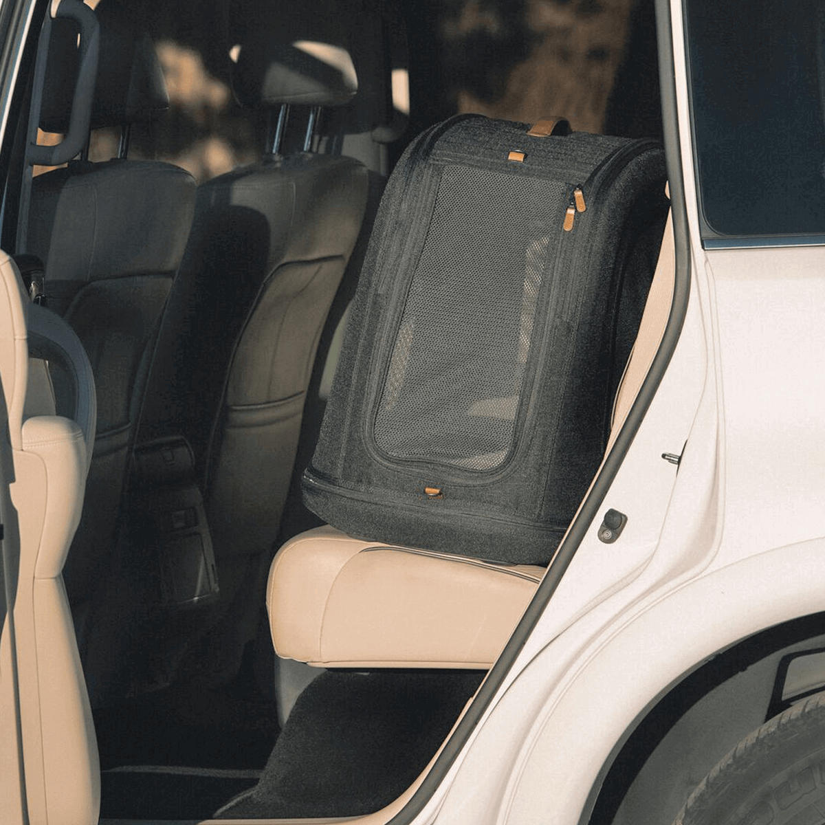 Tavo Pet Carrier Crispin M Onyx