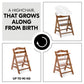 Hauck Alpha+B Highchair Natural 6months to Adult - Distressed Box