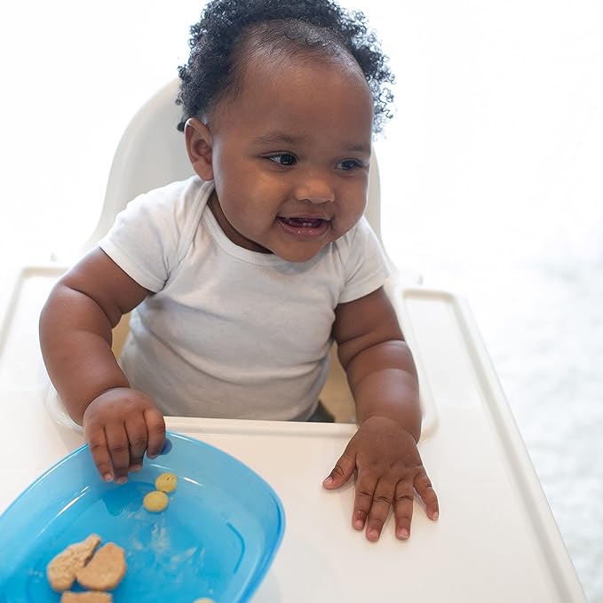 Dr. Brown's Weaning Divided Plates 3-Pack (4 to 24 Months) Multicolor