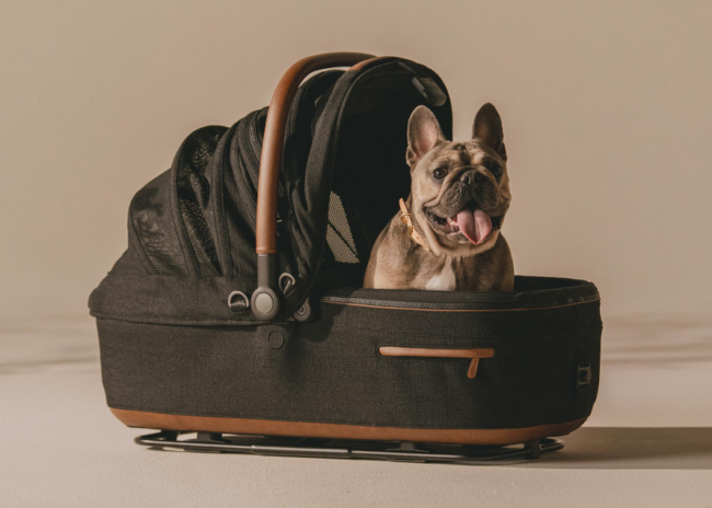 Tavo Pet Seat Maeve ISO 5X Onyx