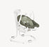 Joie SERINA 2IN1  Swing-0 to 6 Months - palm